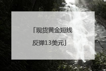 现货黄金短线反弹13美元