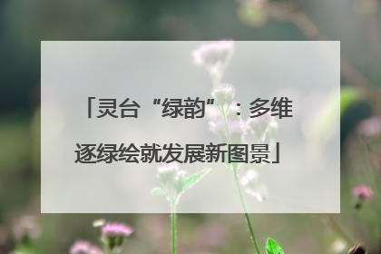 灵台“绿韵”：多维逐绿绘就发展新图景
