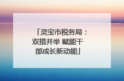 灵宝市税务局：双措并举 赋能干部成长新动能
