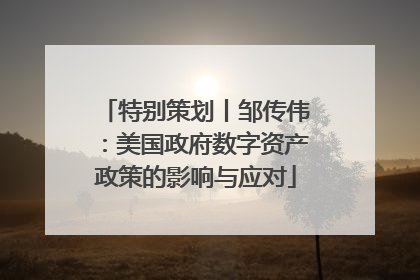 特别策划丨邹传伟：美国政府数字资产政策的影响与应对