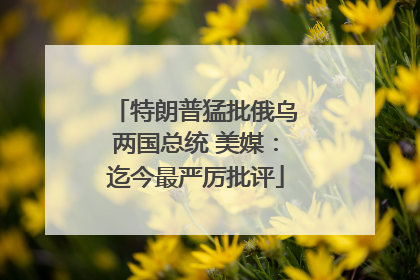 特朗普猛批俄乌两国总统 美媒：迄今最严厉批评