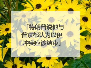 特朗普说他与普京都认为以伊冲突应该结束