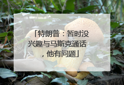 特朗普：暂时没兴趣与马斯克通话，他有问题