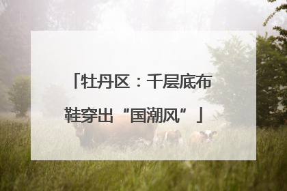 牡丹区：千层底布鞋穿出“国潮风”