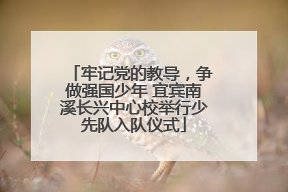 牢记党的教导，争做强国少年 宜宾南溪长兴中心校举行少先队入队仪式