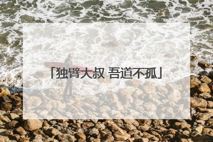 独臂大叔 吾道不孤