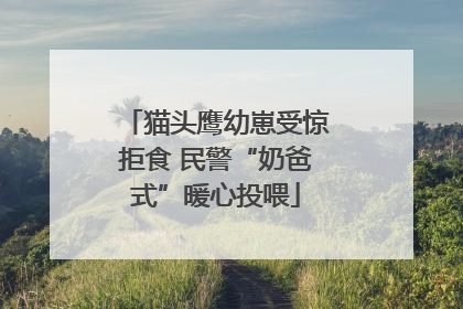 猫头鹰幼崽受惊拒食 民警“奶爸式”暖心投喂