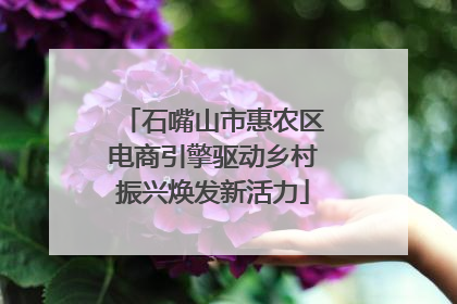 石嘴山市惠农区电商引擎驱动乡村振兴焕发新活力