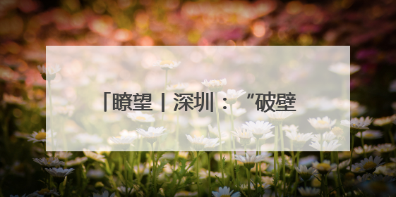 瞭望丨深圳：“破壁”加速数据价值实现