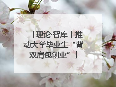 理论·智库丨推动大学毕业生“背双肩包创业”