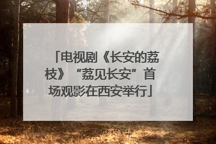 电视剧《长安的荔枝》“荔见长安”首场观影在西安举行