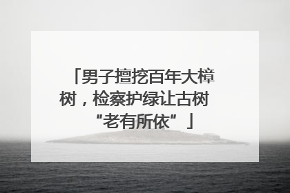 男子擅挖百年大樟树，检察护绿让古树“老有所依”