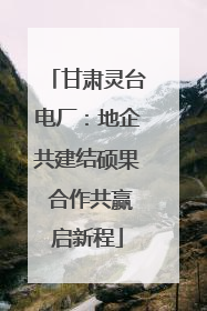 甘肃灵台电厂：地企共建结硕果 合作共赢启新程