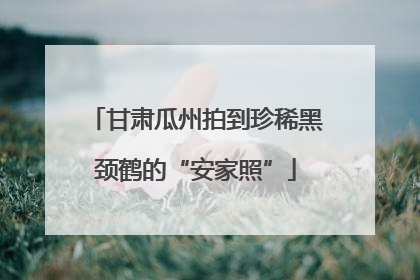 甘肃瓜州拍到珍稀黑颈鹤的“安家照”