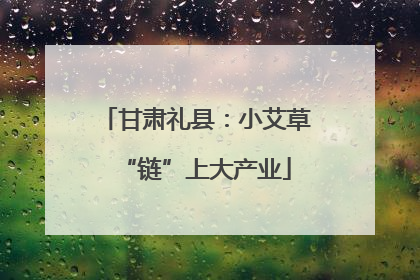 甘肃礼县：小艾草“链”上大产业