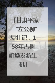 甘肃平凉“左公柳”复壮记：158年古树群焕发新生机