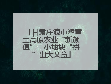 甘肃庄浪重塑黄土高原农业“新颜值”：小地块“拼”出大文章