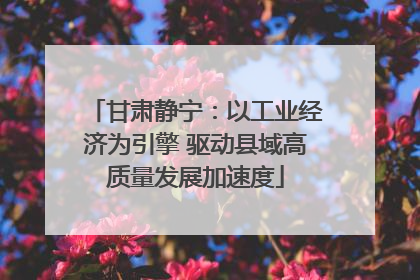 甘肃静宁：以工业经济为引擎 驱动县域高质量发展加速度