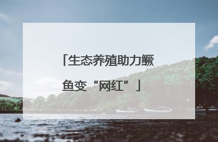 生态养殖助力鳜鱼变“网红”