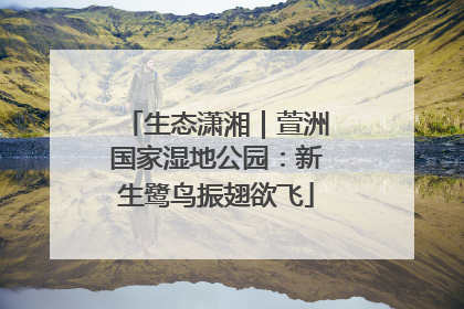 生态潇湘｜萱洲国家湿地公园：新生鹭鸟振翅欲飞