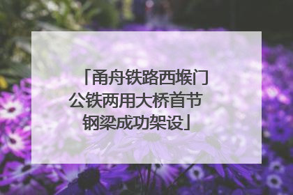 甬舟铁路西堠门公铁两用大桥首节钢梁成功架设