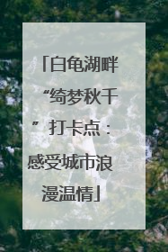 白龟湖畔“绮梦秋千”打卡点：感受城市浪漫温情