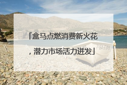 盒马点燃消费新火花，潜力市场活力迸发