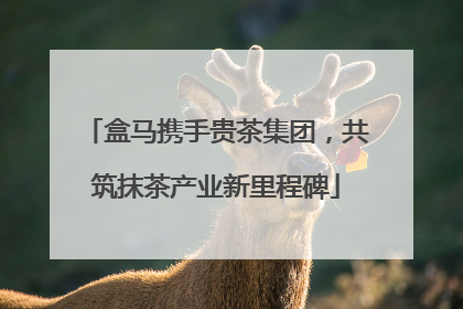 盒马携手贵茶集团，共筑抹茶产业新里程碑