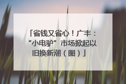 省钱又省心！广丰：“小电驴”市场掀起以旧换新潮（图）
