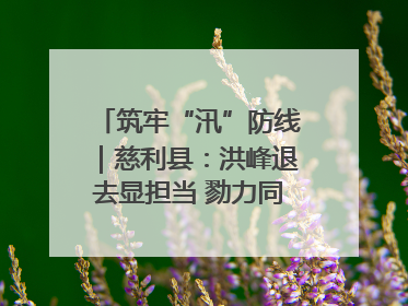 筑牢“汛”防线｜慈利县：洪峰退去显担当 勠力同心启新篇