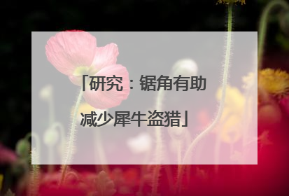 研究：锯角有助减少犀牛盗猎