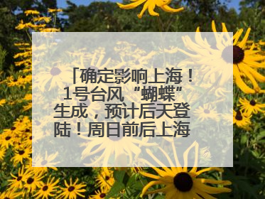 确定影响上海！1号台风“蝴蝶”生成，预计后天登陆！周日前后上海有明显降水
