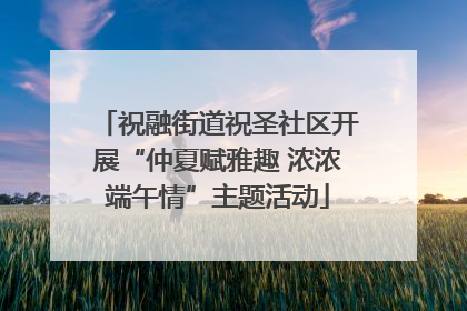 祝融街道祝圣社区开展“仲夏赋雅趣 浓浓端午情”主题活动