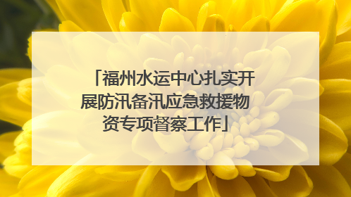 福州水运中心扎实开展防汛备汛应急救援物资专项督察工作