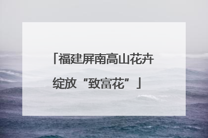 福建屏南高山花卉绽放“致富花”
