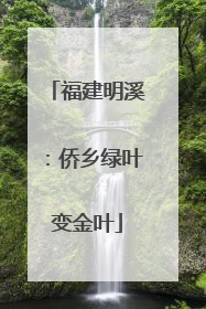 福建明溪：侨乡绿叶变金叶