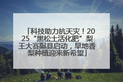科技助力抗天灾！2025“黑松土活化肥”梨王大赛隰县启动，旱地香梨种植迎来新希望
