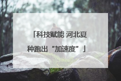 科技赋能 河北夏种跑出“加速度”