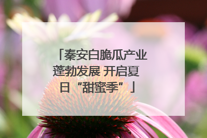 秦安白脆瓜产业蓬勃发展 开启夏日“甜蜜季”