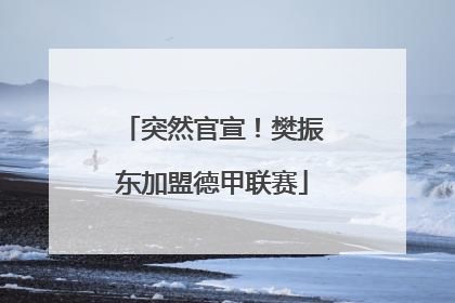 突然官宣！樊振东加盟德甲联赛