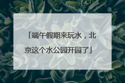 端午假期来玩水，北京这个水公园开园了
