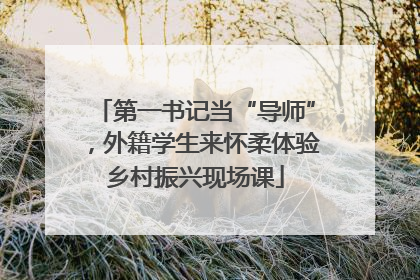 第一书记当“导师”，外籍学生来怀柔体验乡村振兴现场课
