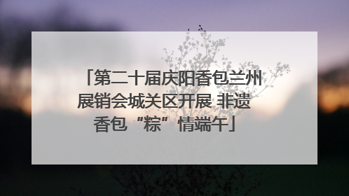 第二十届庆阳香包兰州展销会城关区开展 非遗香包“粽”情端午