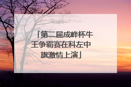 第二届成峰杯牛王争霸赛在科左中旗激情上演
