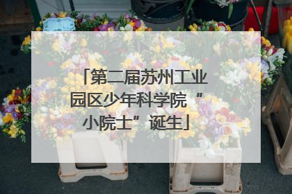 第二届苏州工业园区少年科学院“小院士”诞生