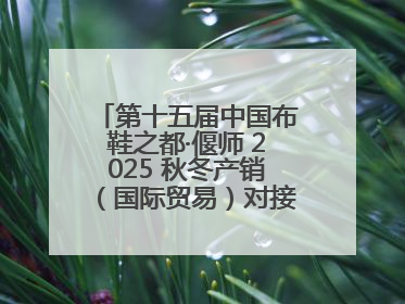 第十五届中国布鞋之都·偃师 2025 秋冬产销（国际贸易）对接会隆重开幕
