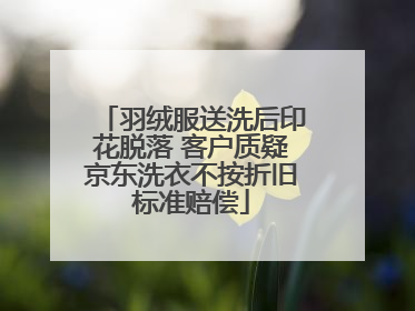 羽绒服送洗后印花脱落 客户质疑京东洗衣不按折旧标准赔偿