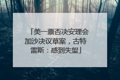 美一票否决安理会加沙决议草案，古特雷斯：感到失望