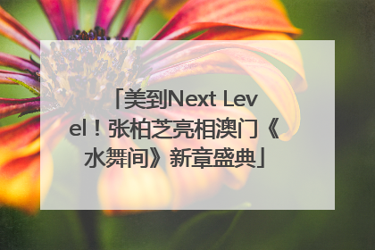 美到Next Level！张柏芝亮相澳门《水舞间》新章盛典