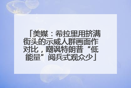 美媒：希拉里用挤满街头的示威人群画面作对比，嘲讽特朗普“低能量”阅兵式观众少